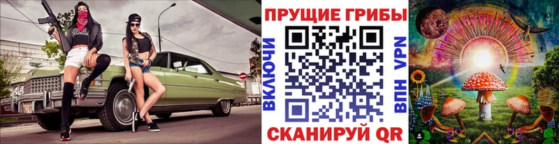 купить закладку  Нерюнгри  Галлюциногенные грибы Psilocybe 